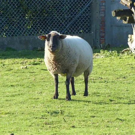 Gite Gites De France - Les Wagands