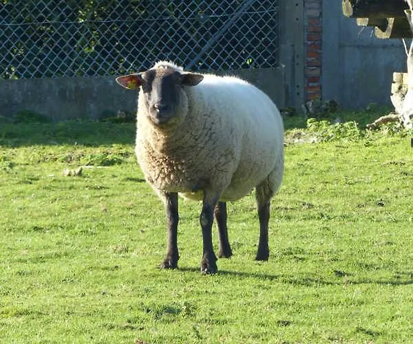 Gite Gites De France - Les Wagands